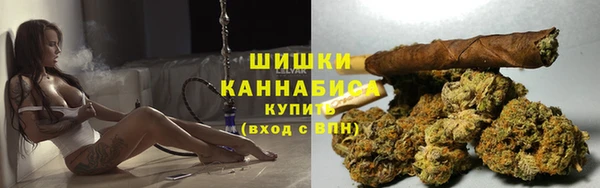 PSILOCYBIN Балахна