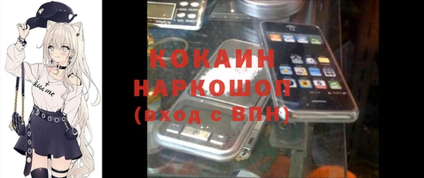 СК Белокуриха