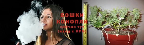 СК Белокуриха
