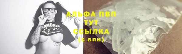 СК Белокуриха