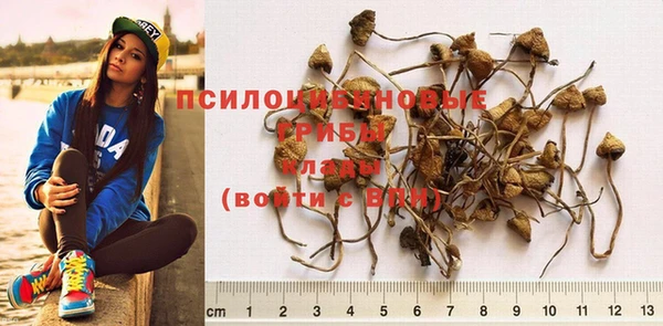 MESCALINE Баксан