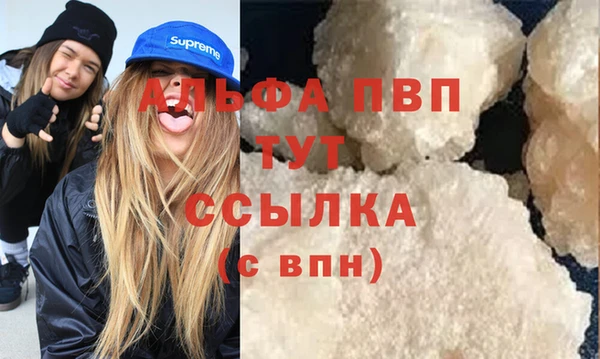 PSILOCYBIN Балахна
