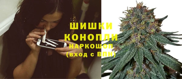 PSILOCYBIN Балахна