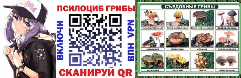 Псилоцибиновые грибы прущие грибы  Кушва 